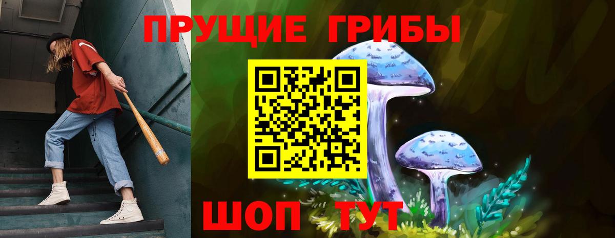 Псилоцибиновые грибы Psilocybine cubensis  Вход с VPN  Бузулук  Псилоцибиновые грибы GOLDEN TEACHER 